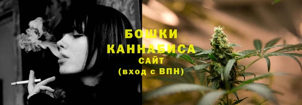 прущие грибы Нягань