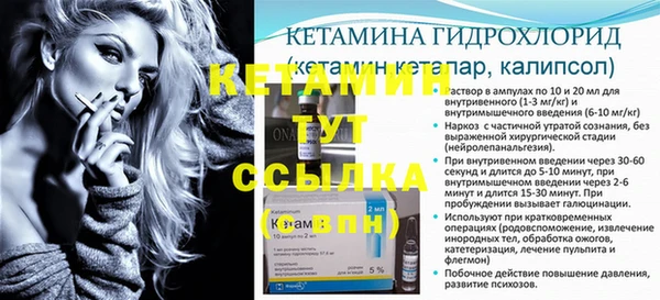 прущие грибы Нягань