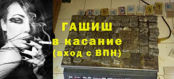 прущие грибы Нягань