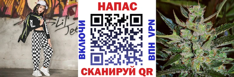 Каннабис сатива  продажа наркотиков  нарко площадка Telegram  Новоузенск 